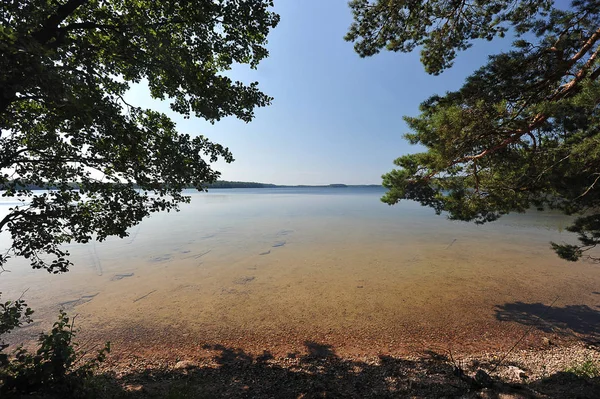 Verano naturaleza paisaje en el lago Beloe —  Fotos de Stock