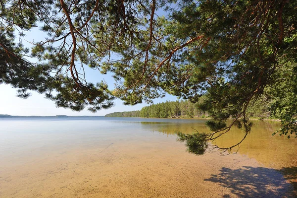 Verão natureza paisagem no lago Beloe — Fotografia de Stock