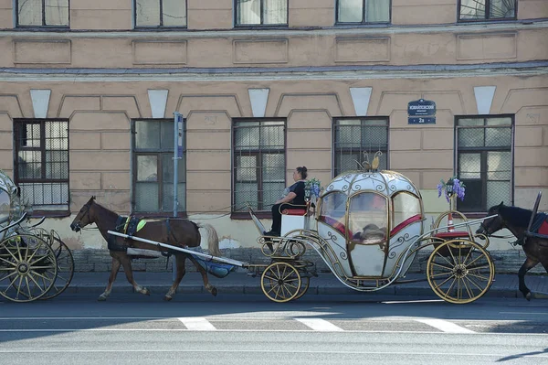 Cheval porte une belle charrette dans les rues de St. Peters — Photo