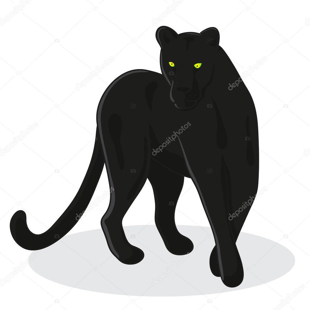 black Panther stay on its front  - vector illustration in cartoon style