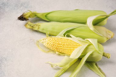 Gri arka plandaki mısır koçanı - üst görünüm