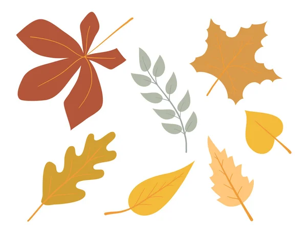 秋天的落叶 被白色的背景隔离 简单的卡通平面风格 — 图库矢量图片