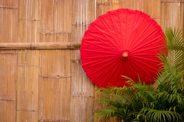 Rode Papieren Paraplu Met Groene Palmbladeren Bamboe Houten Achtergrond — Stockfoto