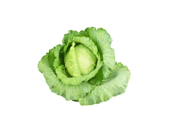 Fresh Organic Green Cabbage Isolated White Background — Stock Photo, Image