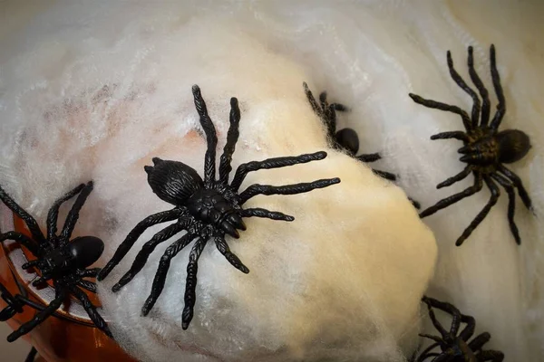 Fondo Aterrador Arañas Pánico Alrededor Telarañas Calabaza Halloween Que Representa — Foto de Stock