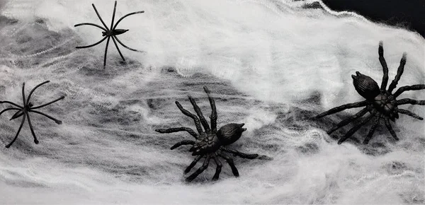 Weißer Stoffhintergrund Darauf Spinnen Verschiedene Arten Panik Und Angst — Stockfoto