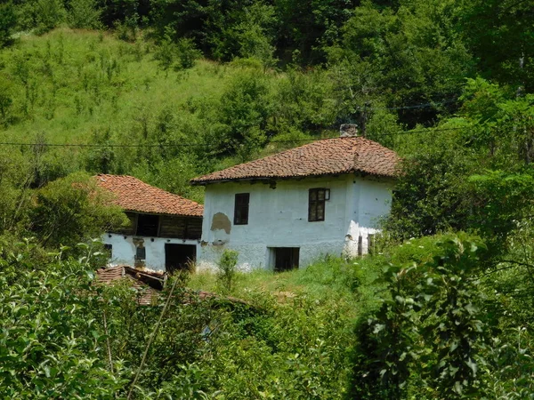 Una Antigua Casa Una Colina Rodeada Por Bosque Detrás Ella — Foto de Stock