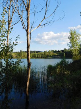 Bir ormanda yaz aylarında güzel bir göl manzarası