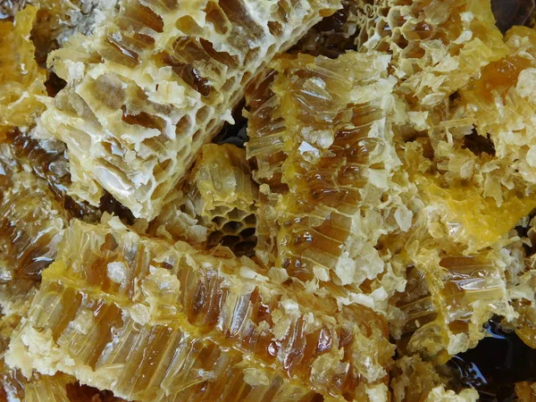 Pile Honeycombs — Stock Photo, Image