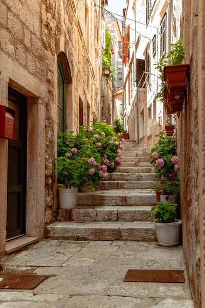 Hırvatistan 'ın küçük Korcula kasabası