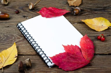 Ahşap arka planda sonbahar kompozisyonu. Sonbahar paslı yaprakları, kestaneler, meşe palamutları ve kızılcık dutlarıyla kaplı boş bir not defteri. Üst görünüm, alanı kopyala .