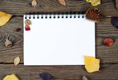 Ahşap arka planda sonbahar kompozisyonu. Sonbahar pas yaprakları, kestaneler ve meşe palamudu ile kaplı boş bir not defteri. Üst görünüm, düzlüğü kopyala.