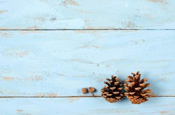 Sonbahar kompozisyon arka planı. Mavi ahşap zemin üzerinde meşe palamudu ve çam kozalakları. Üst görünüm, kopyalama alanı, düz yatış .