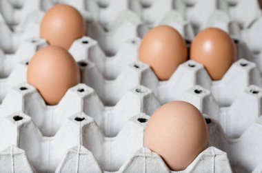 Kartondan yapılmış taze tavuk yumurtalarından oluşan yakın plan bir grup..