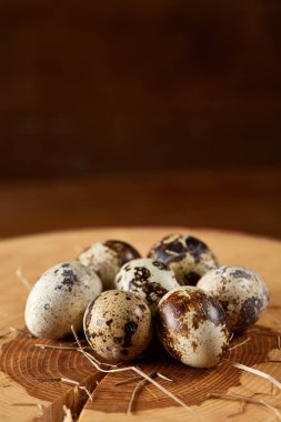 Benekli bıldırcın yumurtası yuvarlak günlüğüyle boşluk, tarih seçici odak düzenlenmiş.