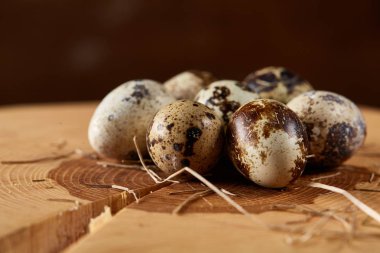 Benekli bıldırcın yumurtası yuvarlak günlüğüyle boşluk, tarih seçici odak düzenlenmiş.