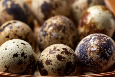 Bıldırcın yumurtası içinde bir rustik ahşap arka plan, üstten görünüm, seçici odak sille.