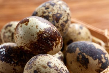 Bıldırcın yumurtası içinde bir rustik ahşap arka plan, üstten görünüm, seçici odak sille.