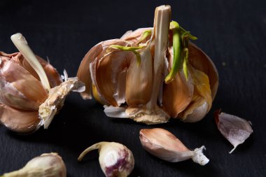 Sarımsak parçaları koyu siyah arka plan üzerine sığ derinliği alan, seçici odak, makro yakın çekim