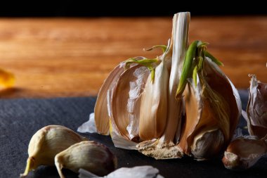 Sarımsak parçaları koyu siyah arka plan üzerine sığ derinliği alan, seçici odak, makro yakın çekim