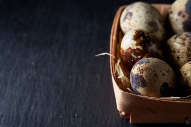 Bıldırcın yumurtası içinde bir koyu siyah arka plan, üstten görünüm, seçici odak, arkadan bir sille.