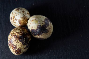 Bazı Bıldırcın yumurta bir koyu arka plan, üstten görünüm, yakın çekim, seçici odak grup, uzay kopyalayın, aydınlatma.