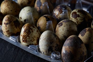 Bıldırcın yumurtası koyu ahşap arka plan, üstten görünüm, seçici odak, arka ışık, dikey bir plastik kap içinde.