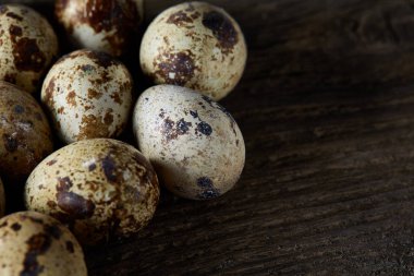 Seçici odak eski ahşap panoları, boşluk, arka plan üzerinde benekli bıldırcın yumurtası düzenlenmiş.