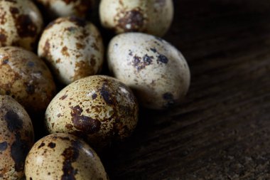 Seçici odak eski ahşap panoları, boşluk, arka plan üzerinde benekli bıldırcın yumurtası düzenlenmiş.