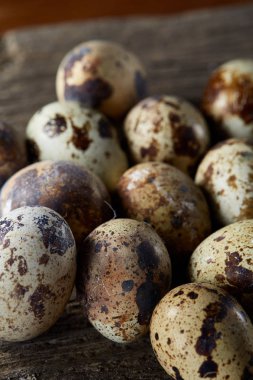 Seçici odak eski ahşap panoları, boşluk, arka plan üzerinde benekli bıldırcın yumurtası düzenlenmiş.