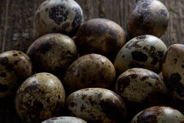 Seçici odak eski ahşap panoları, boşluk, arka plan üzerinde benekli bıldırcın yumurtası düzenlenmiş.