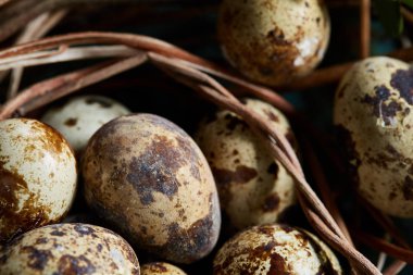 Bıldırcın yumurtası yeşil ile eski kahverengi ahşap yüzeyde bulanık doğal yaprakları arka plan, seçici odak, yakın çekim