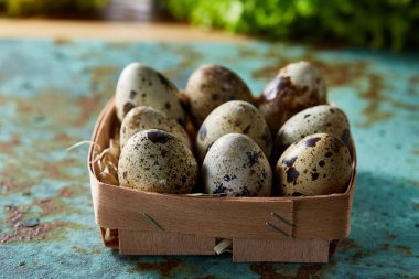 Bıldırcın yumurtası kutusunda yeşil ile mavi dokulu yüzeyi bulanık doğal yaprakları arka plan, seçici odak, yakın çekim