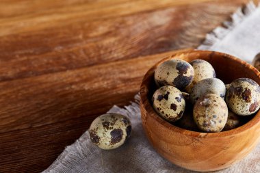 Yumurtalar bıldırcın, ahşap masa, yakın çekim, seçici odak saf bir peçeteye üzerinde yumurta ile kase