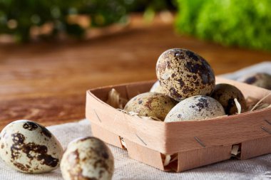 Rustik ahşap masa, yakın çekim, yüksek açılı görünüş, seçici odak kapsayıcısında bıldırcın yumurtası.