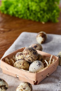 Rustik ahşap masa, yakın çekim, yüksek açılı görünüş, seçici odak kapsayıcısında bıldırcın yumurtası.