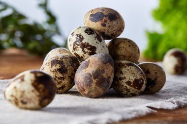 Piramit peçeteye düzenlenen bir ahşap masa, yakın çekim, seçici odak üzerinde bıldırcın yumurtası.