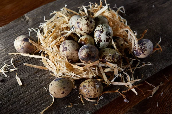 Bodegón conceptual con huevos de codorniz en nido de heno sobre fondo de madera oscura, enfoque selectivo — Foto de Stock