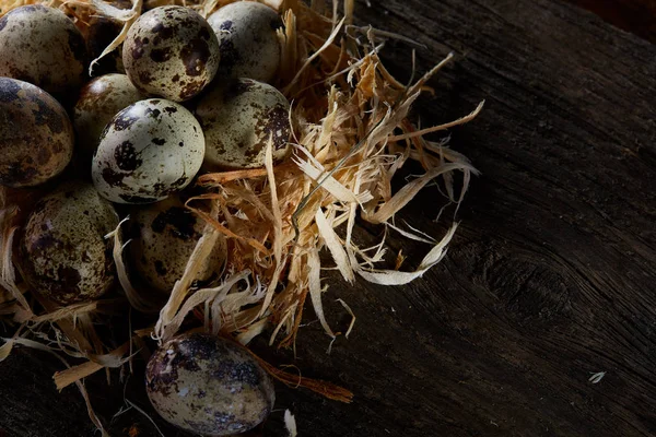 Bodegón conceptual con huevos de codorniz en nido de heno sobre fondo de madera oscura, enfoque selectivo — Foto de Stock