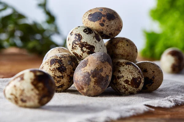 Piramit peçeteye düzenlenen bir ahşap masa, yakın çekim, seçici odak üzerinde bıldırcın yumurtası.