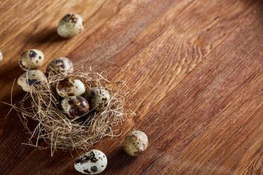 Seçici odak, yakın, kavramsal natürmort bıldırcın ile saman yuvada koyu ahşap arka plan üzerinde yumurta.