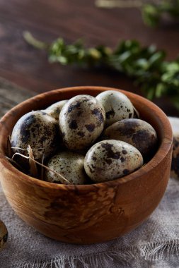 Bıldırcın yumurta, yumurta saf peçeteye, Şimşir ahşap arka plan, yakın çekim, seçici odak ile kase