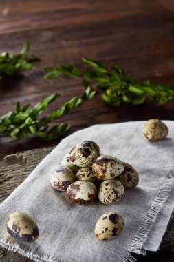 Piramit peçeteye Şimşir dalları ile düzenlenmiş bir ahşap masa, yakın çekim, seçici odak üzerinde bıldırcın yumurtası.
