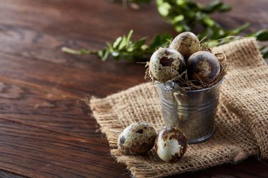 Bıldırcın yumurtası keten peçete ve Şimşir dal, seçici odak demet bahar bileşimi