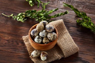 Bıldırcın yumurta, yumurta saf peçeteye, Şimşir ahşap arka plan, yakın çekim, seçici odak ile kase