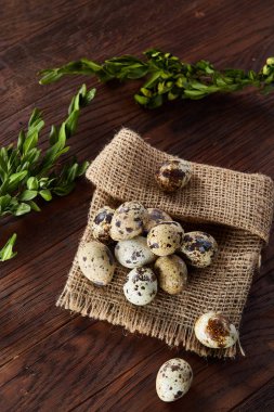 Piramit peçeteye Şimşir dalları ile düzenlenmiş bir ahşap masa, yakın çekim, seçici odak üzerinde bıldırcın yumurtası.