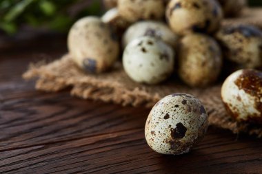 Piramit peçeteye Şimşir dalları ile düzenlenmiş bir ahşap masa, yakın çekim, seçici odak üzerinde bıldırcın yumurtası.