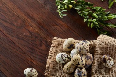 Piramit peçeteye Şimşir dalları ile düzenlenmiş bir ahşap masa, yakın çekim, seçici odak üzerinde bıldırcın yumurtası.