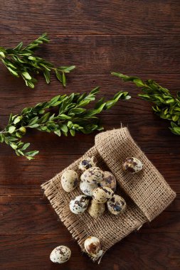 Piramit peçeteye Şimşir dalları ile düzenlenmiş bir ahşap masa, yakın çekim, seçici odak üzerinde bıldırcın yumurtası.