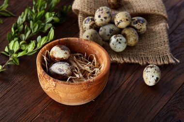 Bıldırcın yumurta, yumurta saf peçeteye, Şimşir ahşap arka plan, yakın çekim, seçici odak ile kase